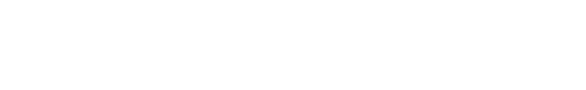 logo fundacion ricaldoni, udelar y fing